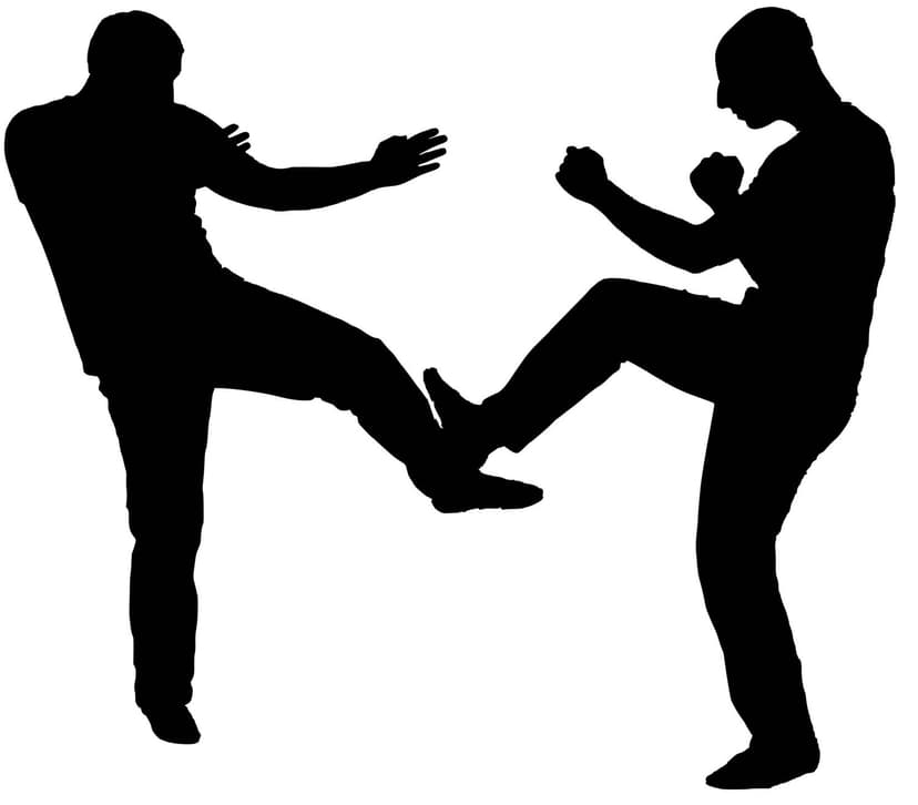 Wing Chun chi gerk low kick