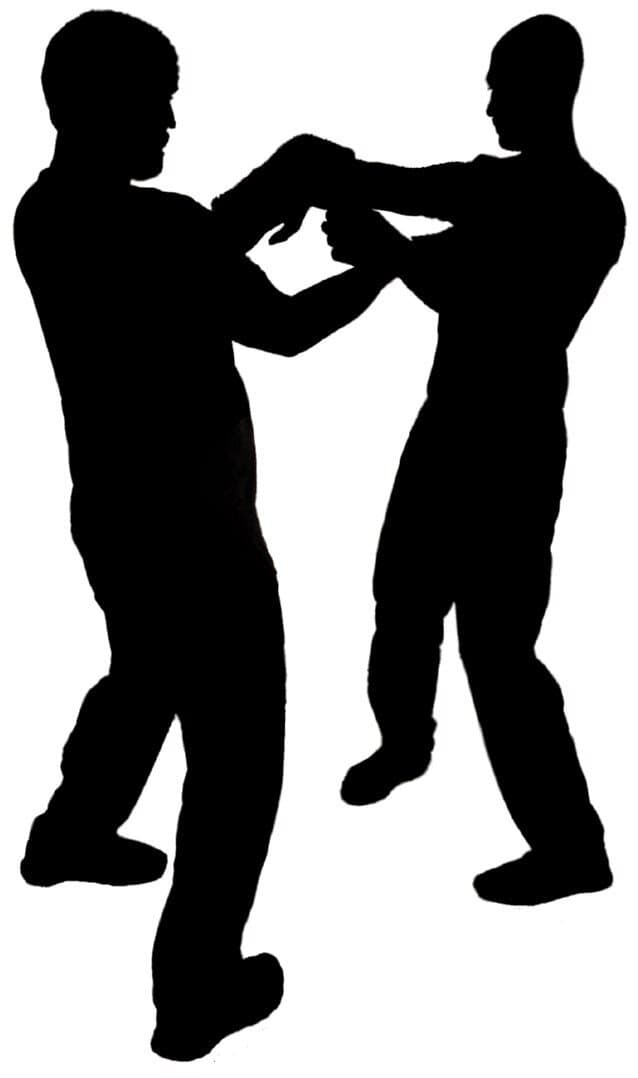 Wing Chun chi sau sticking hands practice