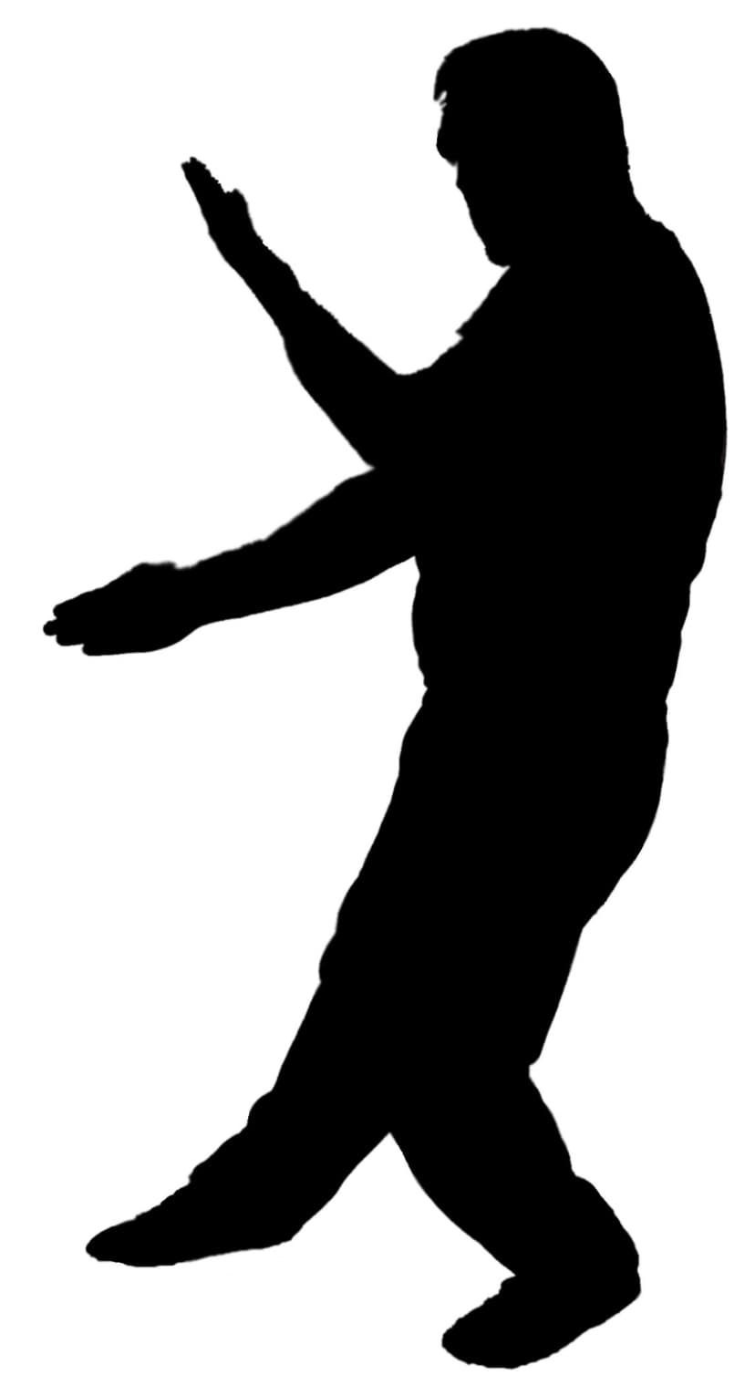 Wing Chun gan sau and tan sau positions