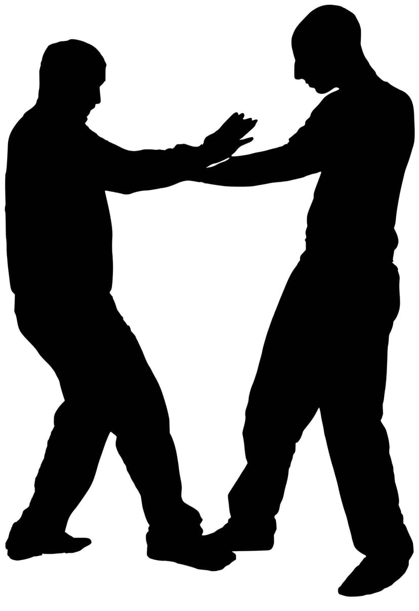 Wing Chun jut sau technique