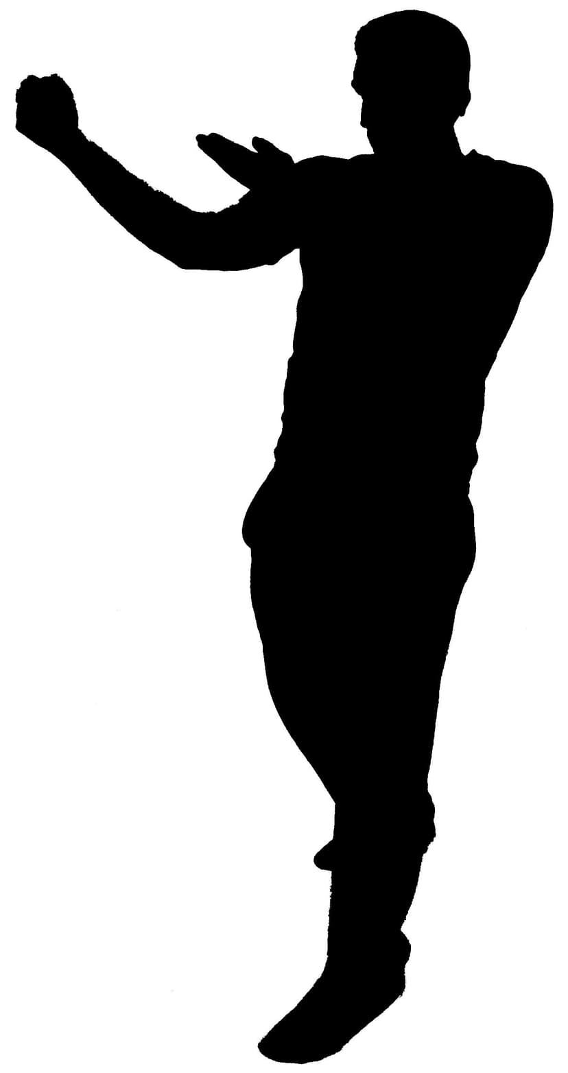 Wing Chun tan sau with fist